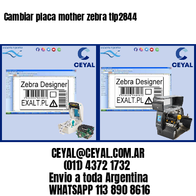Cambiar placa mother zebra tlp2844