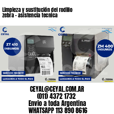Limpieza y sustitución del rodillo zebra - asistencia tecnica