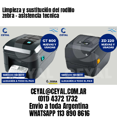 Limpieza y sustitución del rodillo zebra - asistencia tecnica
