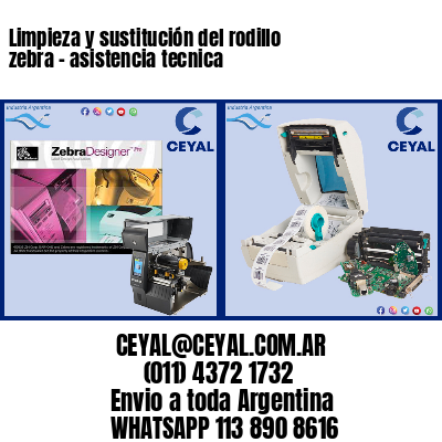 Limpieza y sustitución del rodillo zebra – asistencia tecnica
