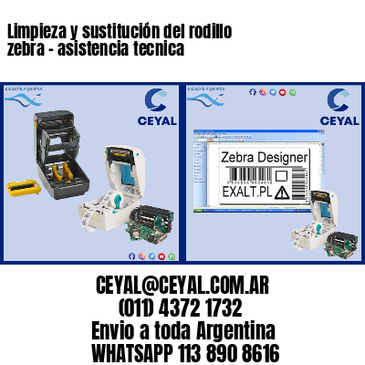 Limpieza y sustitución del rodillo zebra – asistencia tecnica