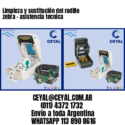 Limpieza y sustitución del rodillo zebra – asistencia tecnica