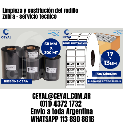 Limpieza y sustitución del rodillo zebra - servicio tecnico