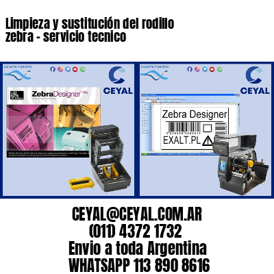 Limpieza y sustitución del rodillo zebra – servicio tecnico