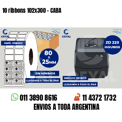 10 ribbons 102x300 - CABA