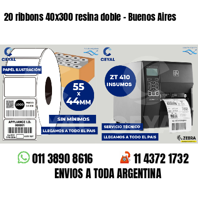 20 ribbons 40x300 resina doble - Buenos Aires