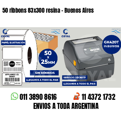 50 ribbons 83x300 resina - Buenos Aires