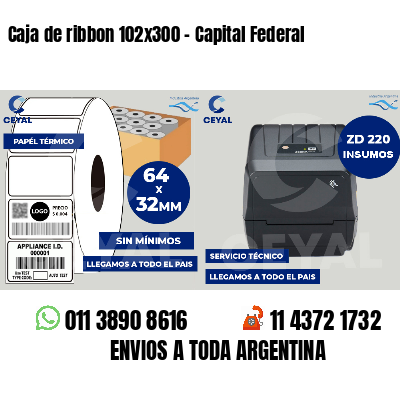 Caja de ribbon 102x300 - Capital Federal