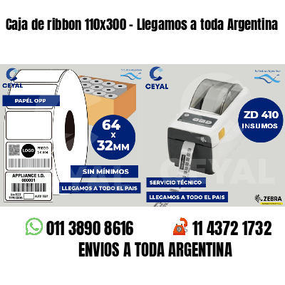 Caja de ribbon 110x300 - Llegamos a toda Argentina