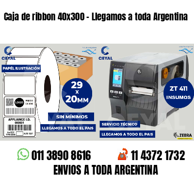 Caja de ribbon 40x300 - Llegamos a toda Argentina