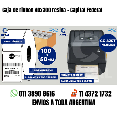 Caja de ribbon 40x300 resina - Capital Federal