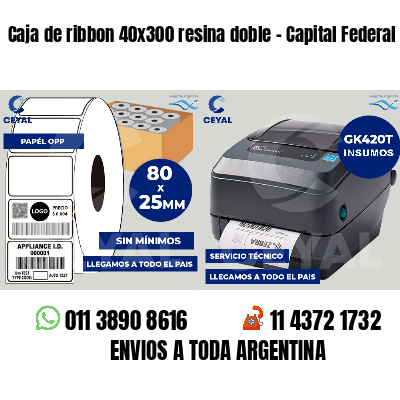 Caja de ribbon 40x300 resina doble - Capital Federal