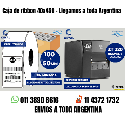 Caja de ribbon 40x450 - Llegamos a toda Argentina