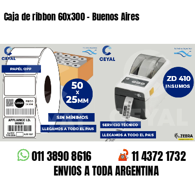 Caja de ribbon 60x300 - Buenos Aires
