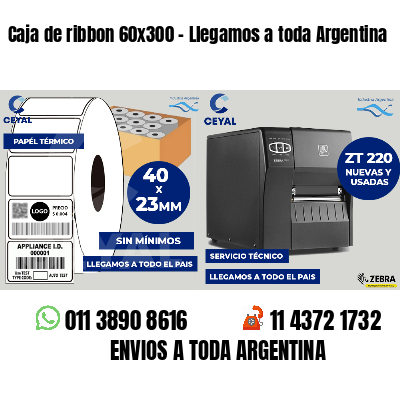 Caja de ribbon 60x300 - Llegamos a toda Argentina