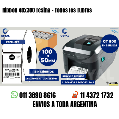 Ribbon 40x300 resina - Todos los rubros