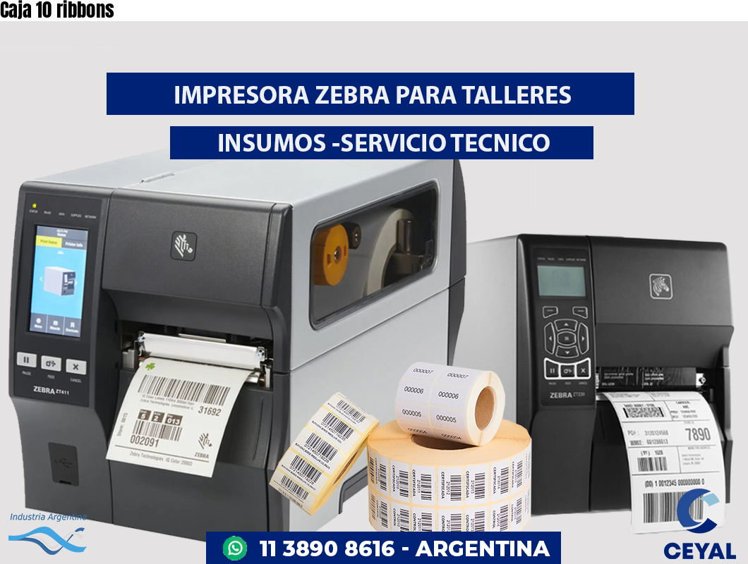 Caja 10 ribbons