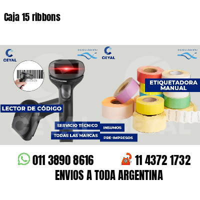 Caja 15 ribbons