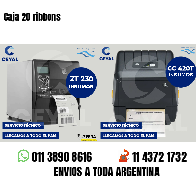 Caja 20 ribbons
