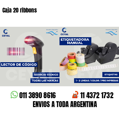 Caja 20 ribbons