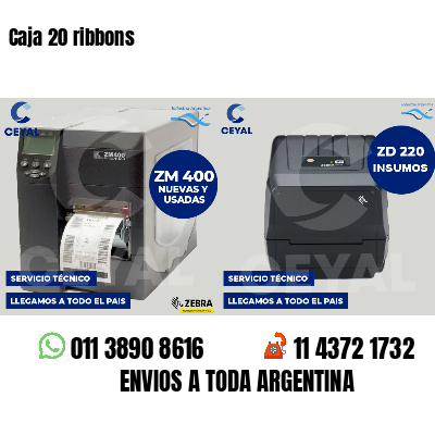 Caja 20 ribbons
