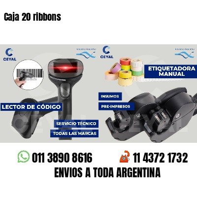 Caja 20 ribbons