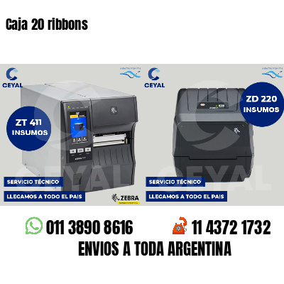 Caja 20 ribbons