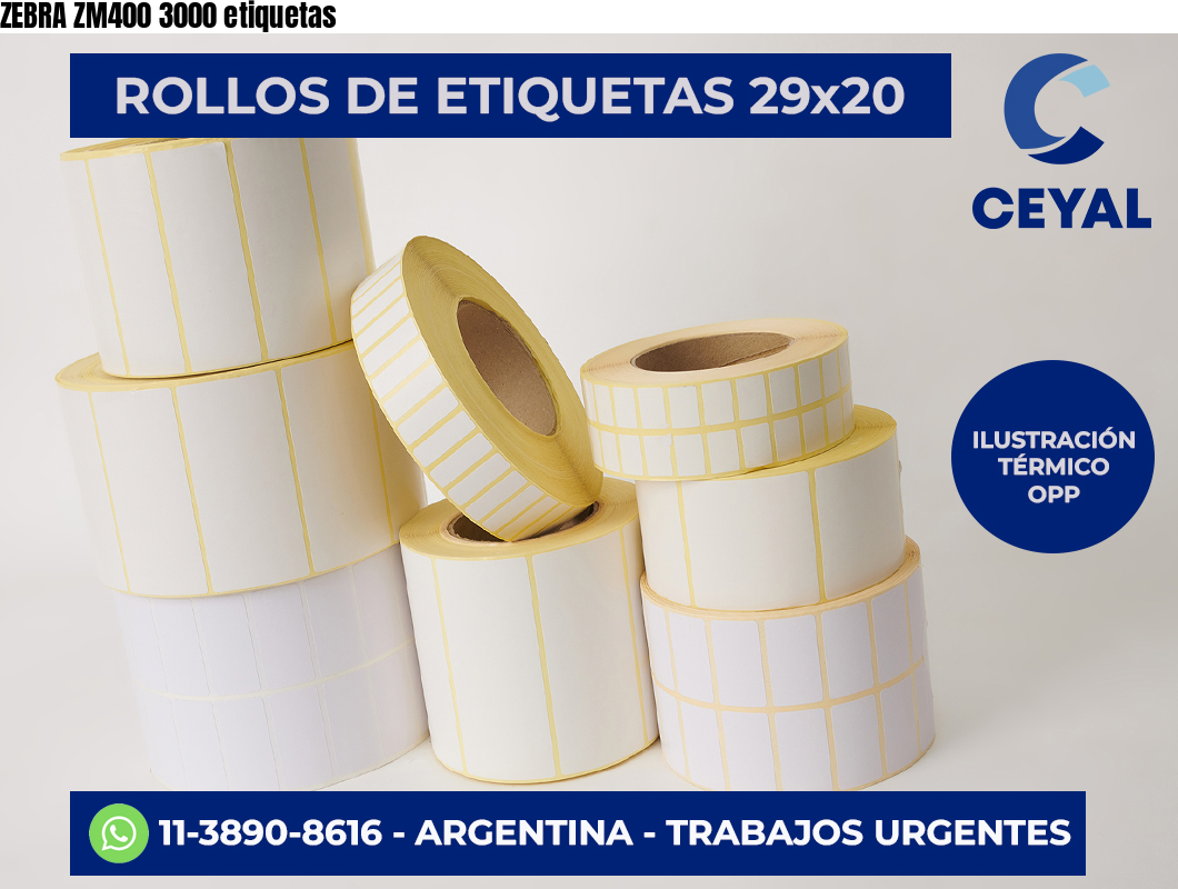 ZEBRA ZM400 3000 etiquetas