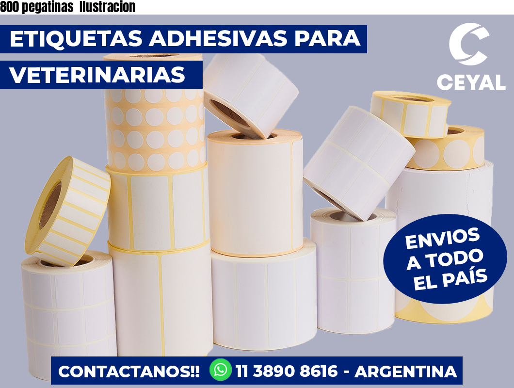 800 pegatinas Ilustracion