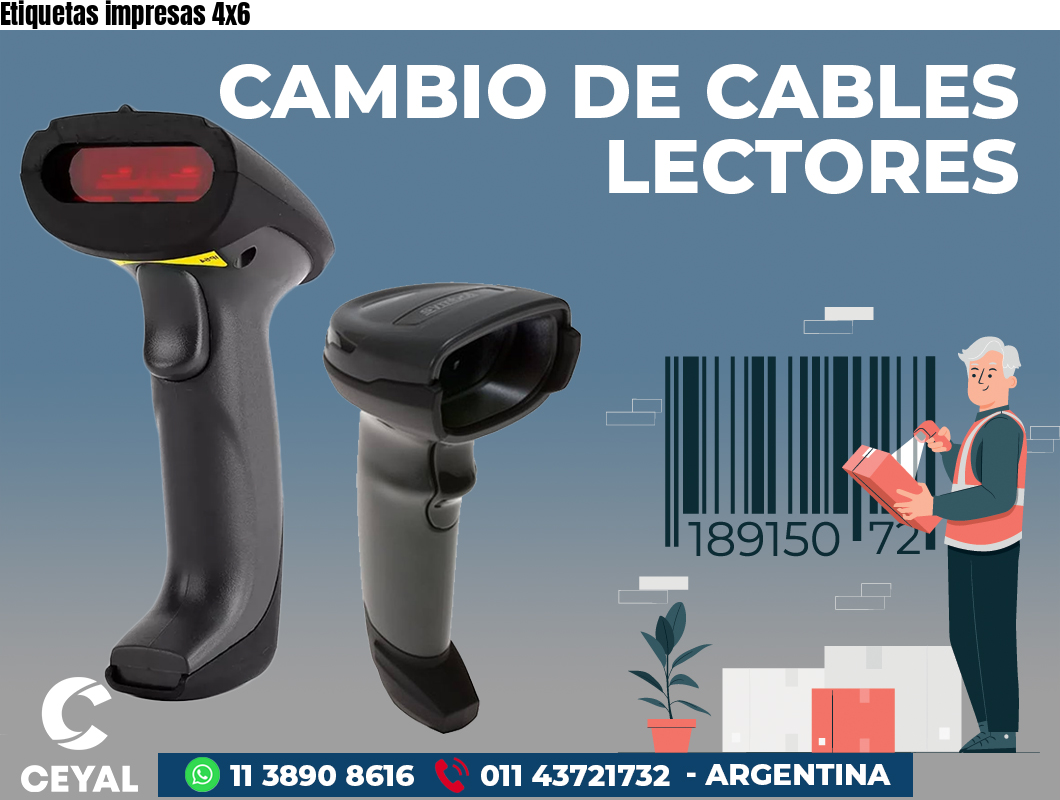 Etiquetas impresas 4x6