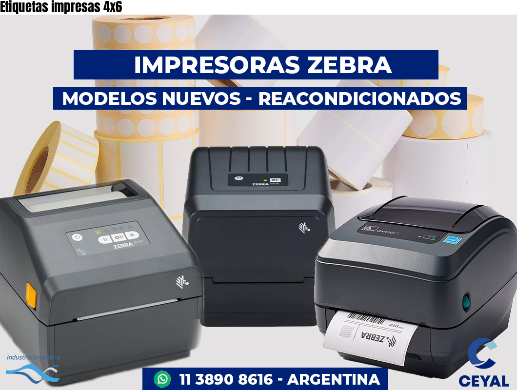 Etiquetas impresas 4x6