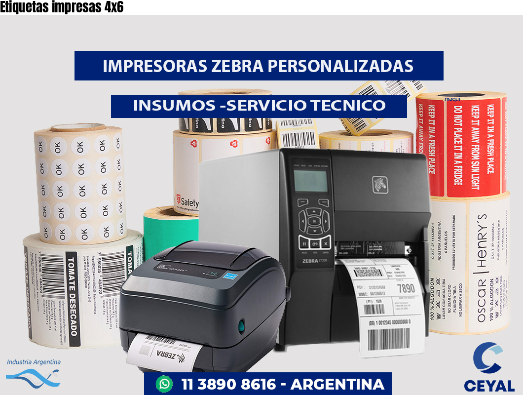 Etiquetas impresas 4x6