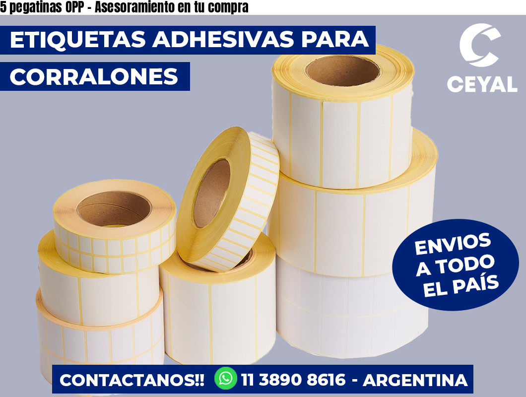 5 pegatinas OPP – Asesoramiento en tu compra