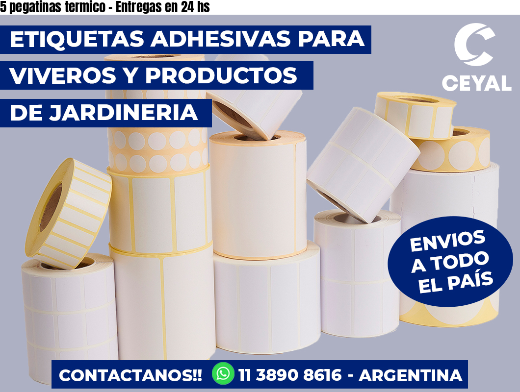 5 pegatinas termico - Entregas en 24 hs