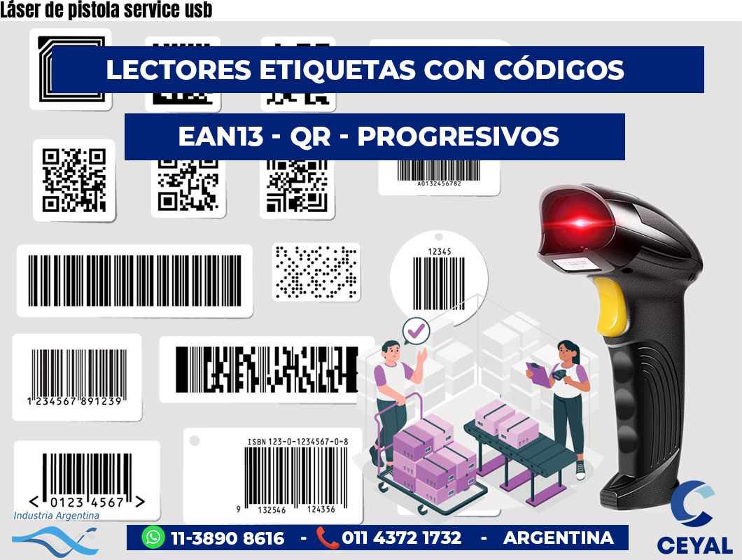 Láser de pistola service usb