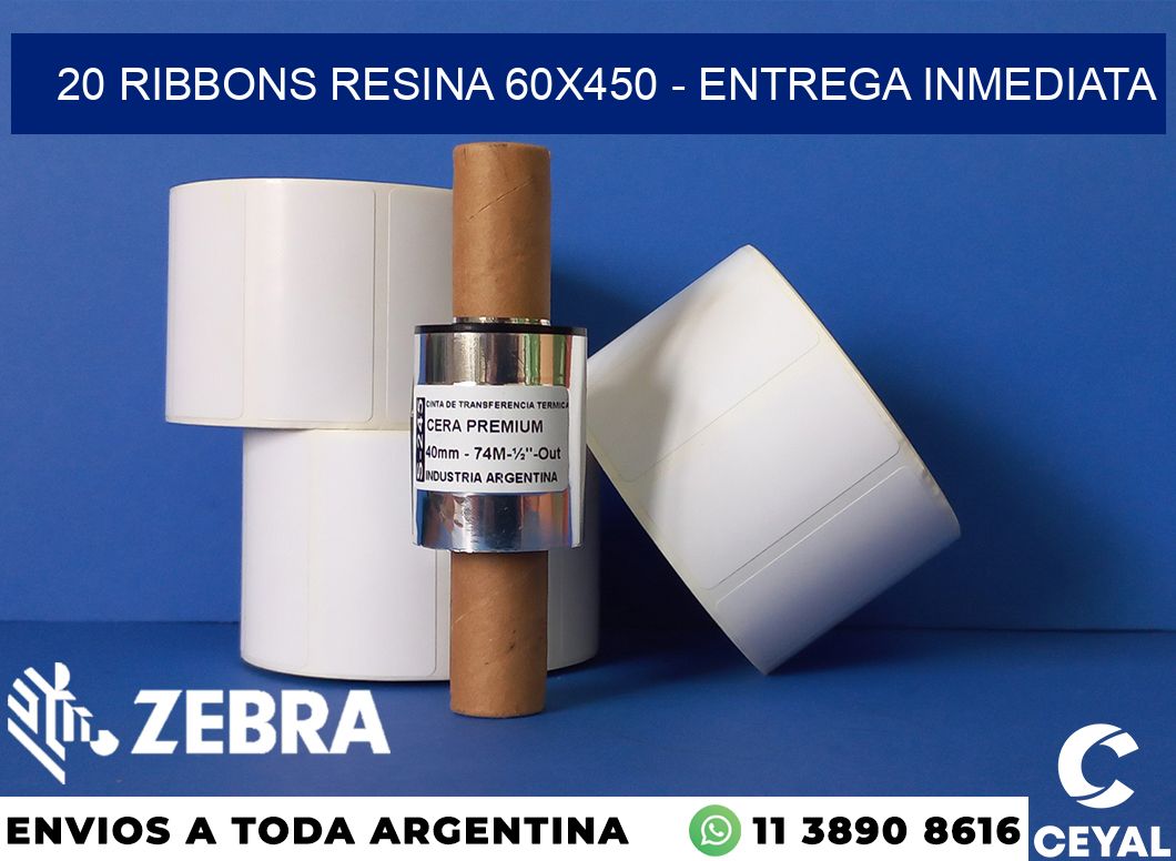 20 Ribbons resina 60x450 - Entrega inmediata
