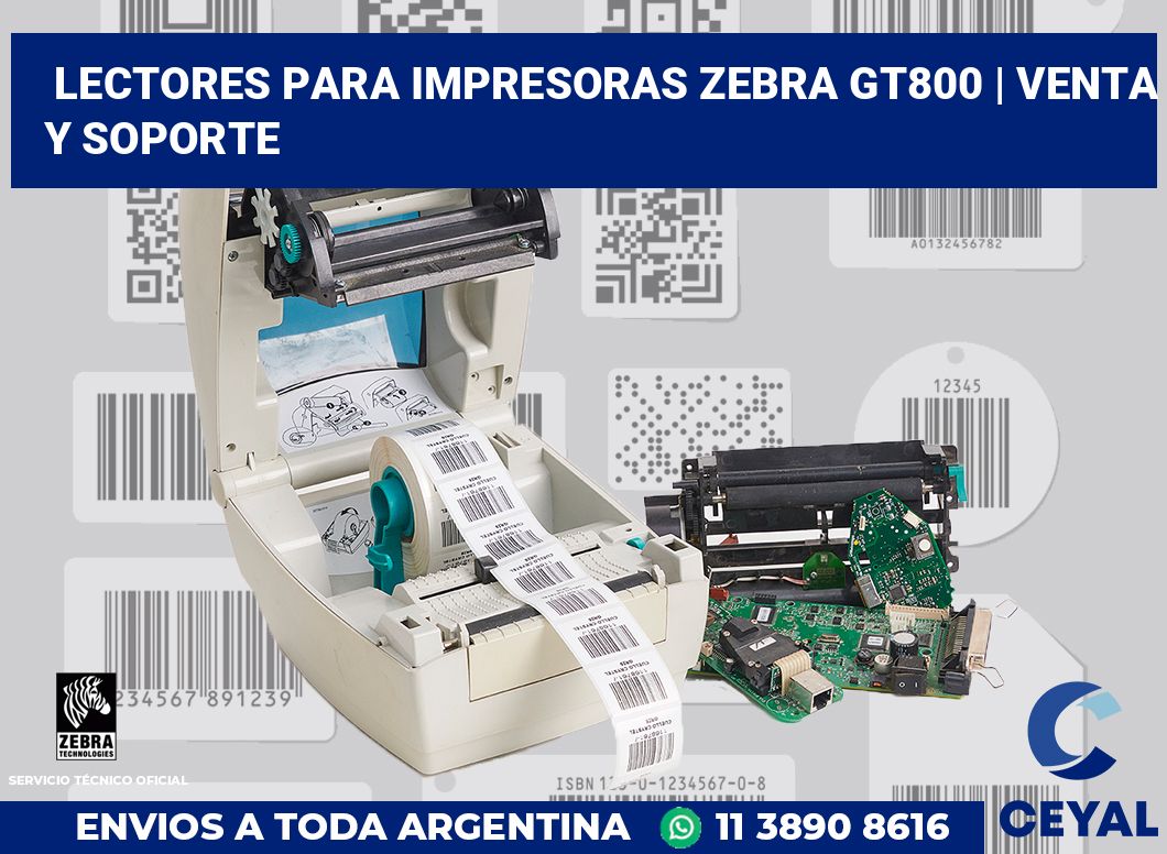 Lectores para impresoras Zebra GT800 | Venta y soporte