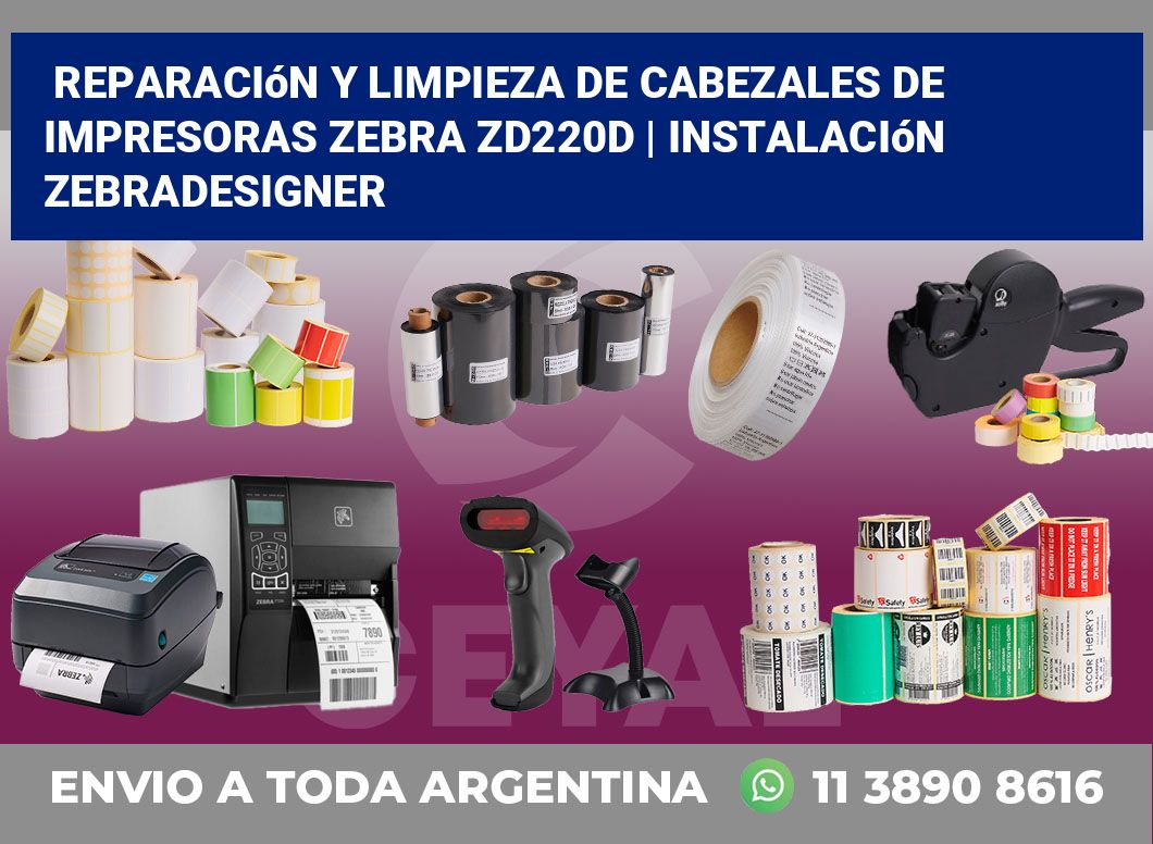 Reparación y limpieza de cabezales de impresoras Zebra ZD220d | Instalación ZebraDesigner