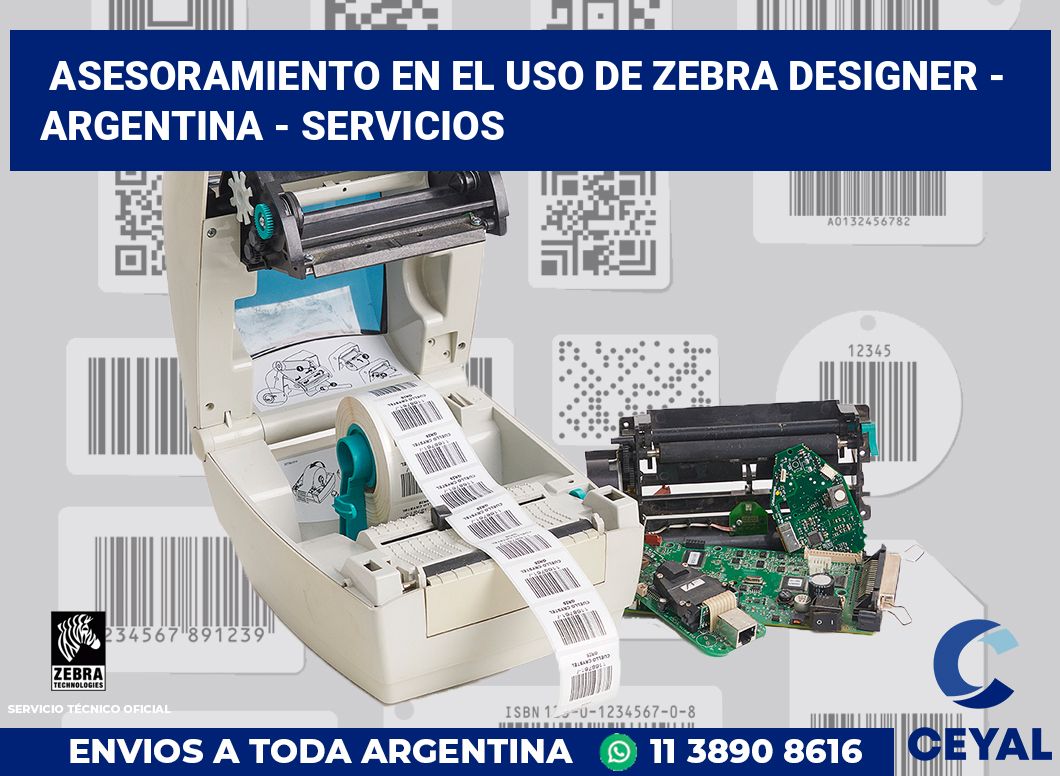 asesoramiento en el uso de zebra designer - Argentina - Servicios