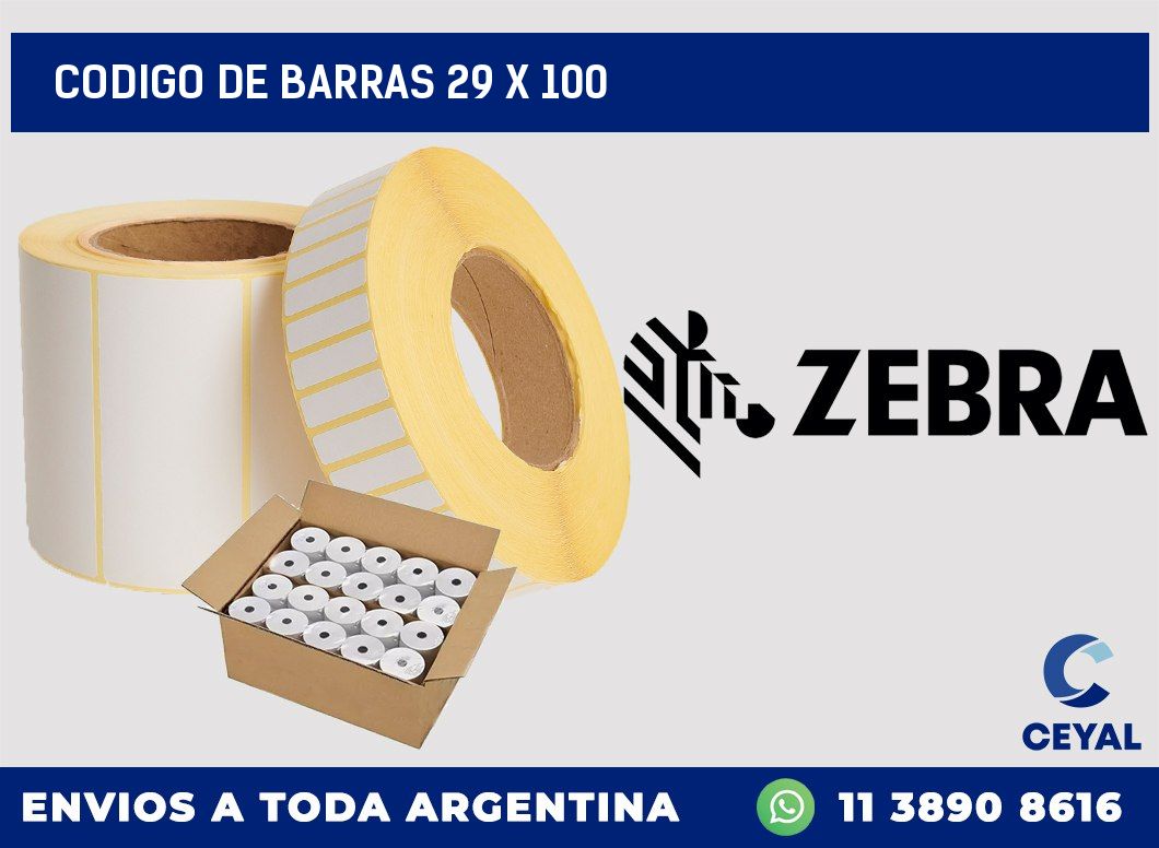 codigo de barras 29 x 100
