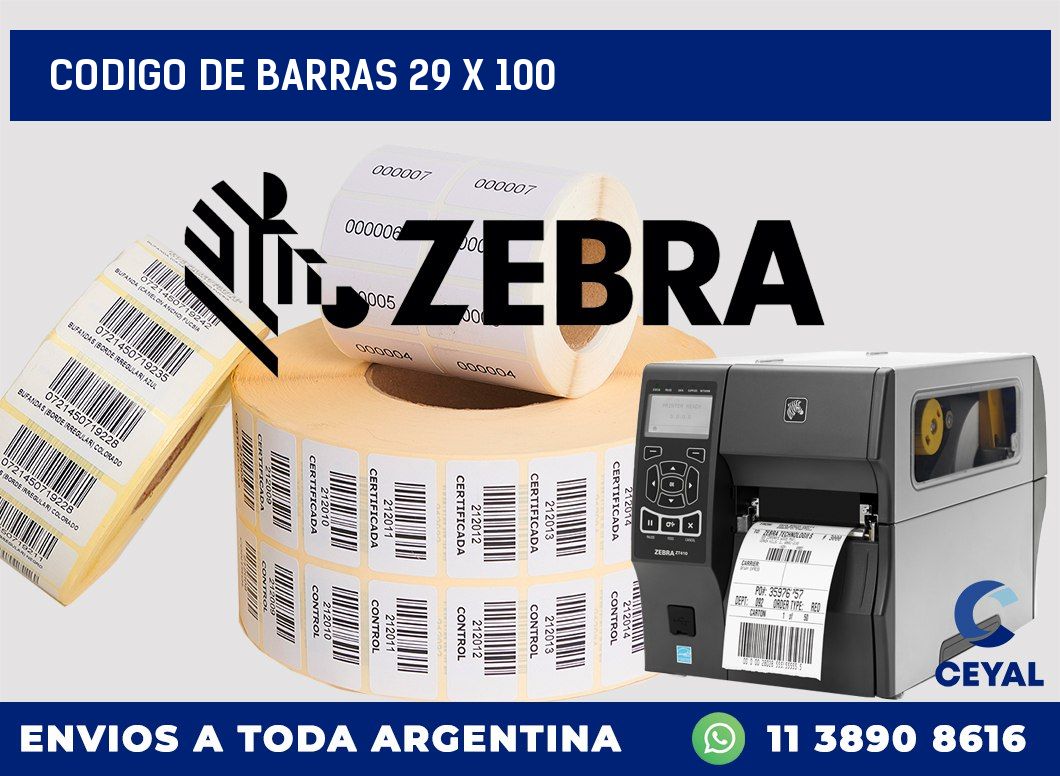 codigo de barras 29 x 100