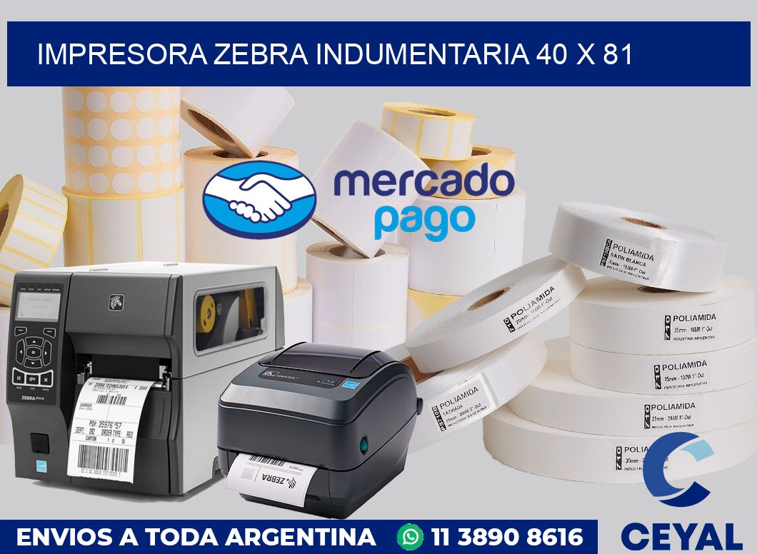 Impresora Zebra indumentaria 40 x 81