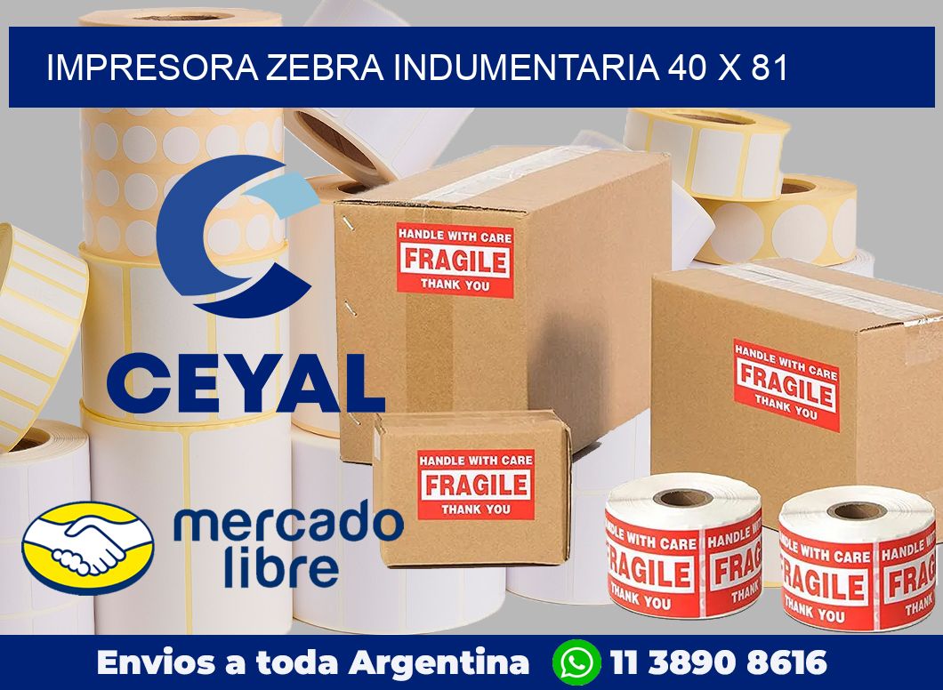 Impresora Zebra indumentaria 40 x 81