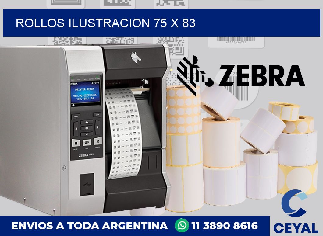 Rollos ilustracion 75 x 83