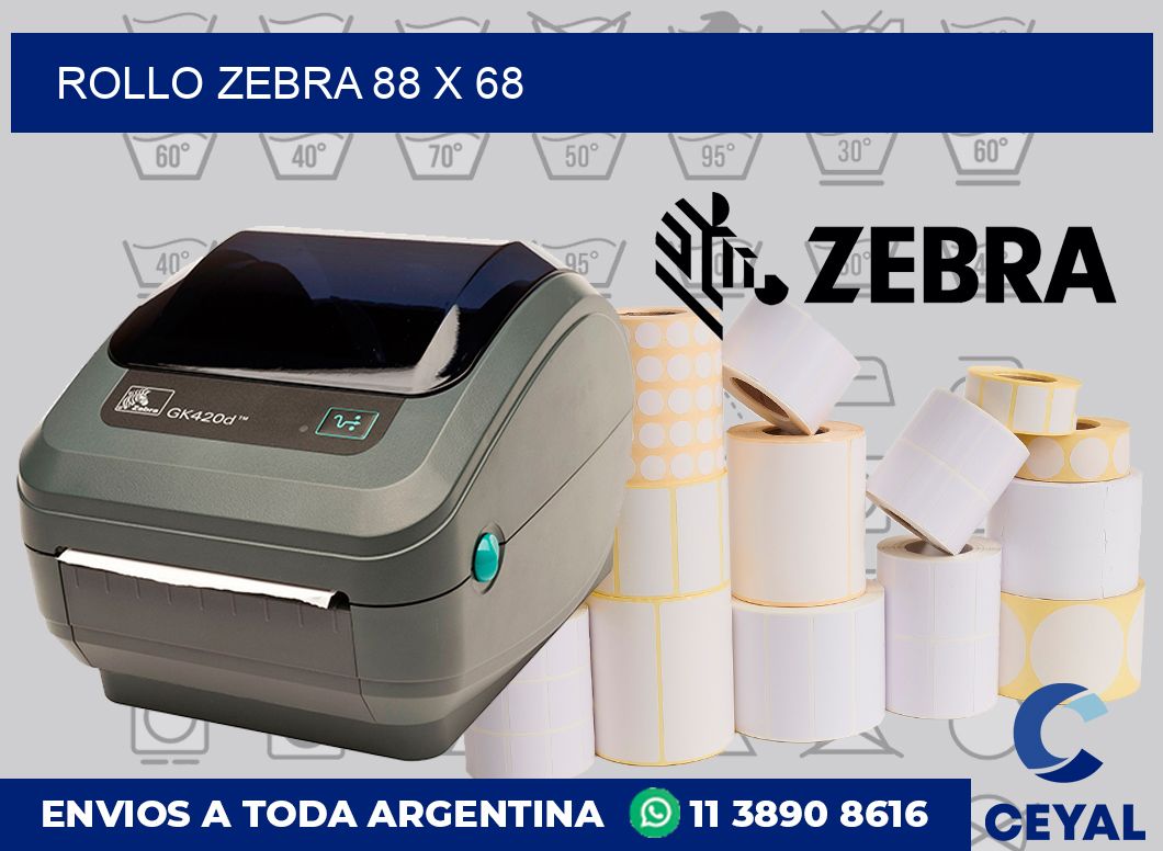 rollo zebra 88 x 68