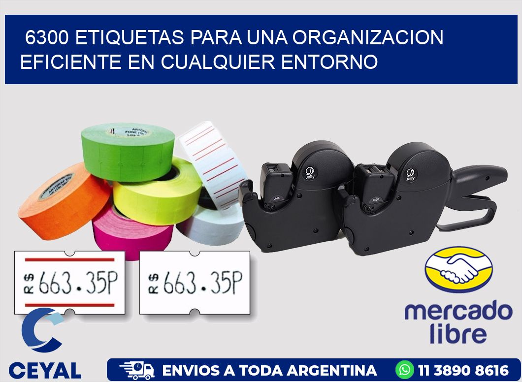 6300 ETIQUETAS PARA UNA ORGANIZACION EFICIENTE EN CUALQUIER ENTORNO