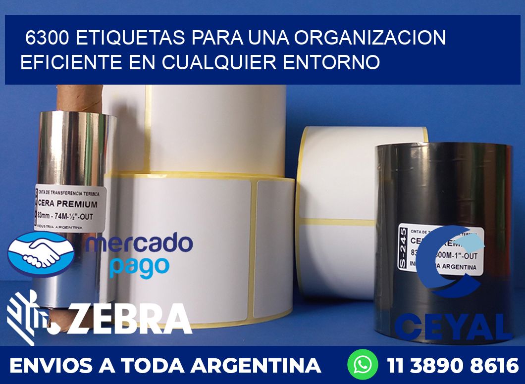 6300 ETIQUETAS PARA UNA ORGANIZACION EFICIENTE EN CUALQUIER ENTORNO