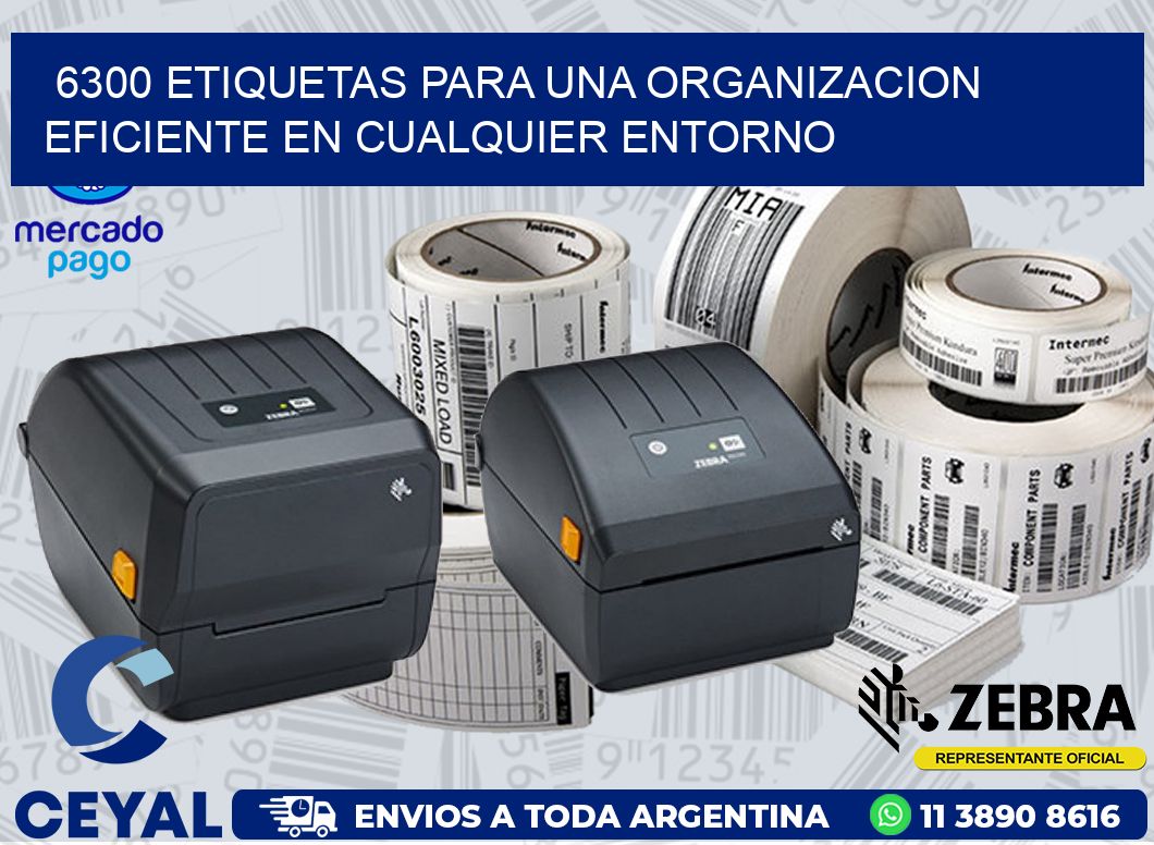 6300 ETIQUETAS PARA UNA ORGANIZACION EFICIENTE EN CUALQUIER ENTORNO