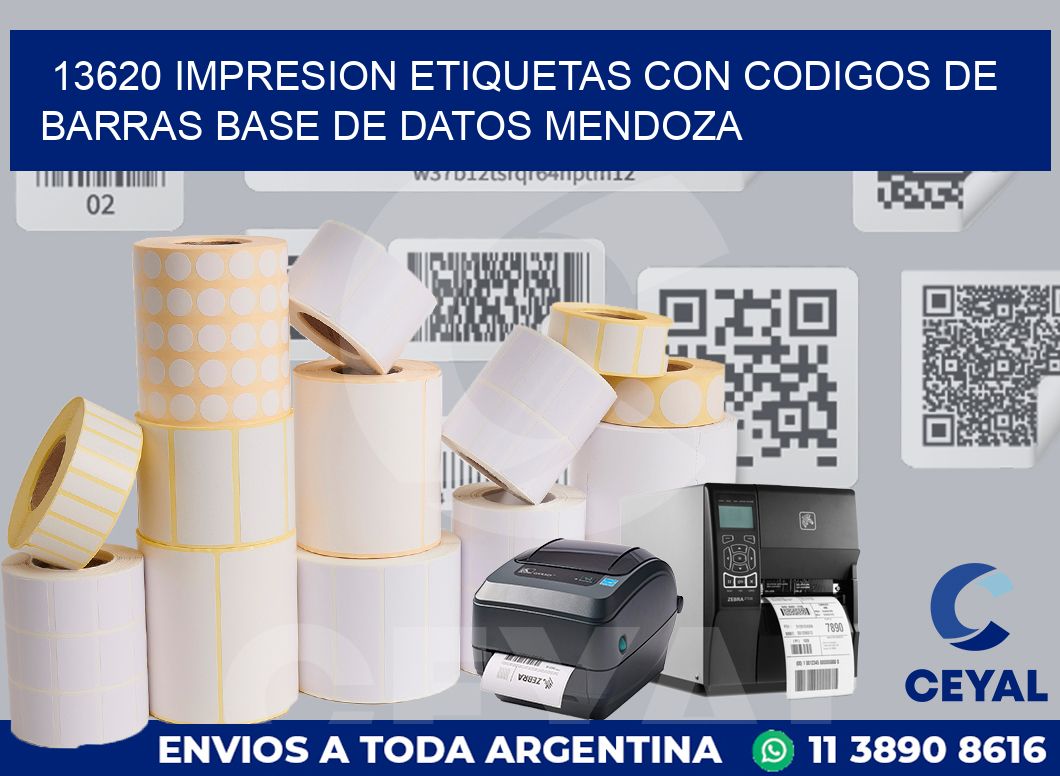 13620 IMPRESION ETIQUETAS CON CODIGOS DE BARRAS BASE DE DATOS MENDOZA