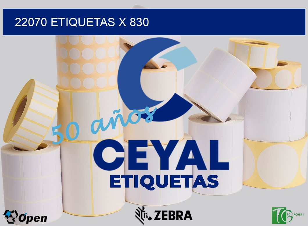 22070 Etiquetas x 830